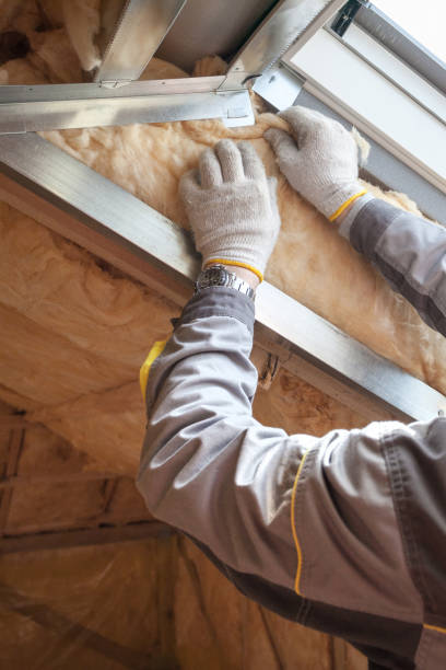 Best Commercial Insulation in Payson, IL